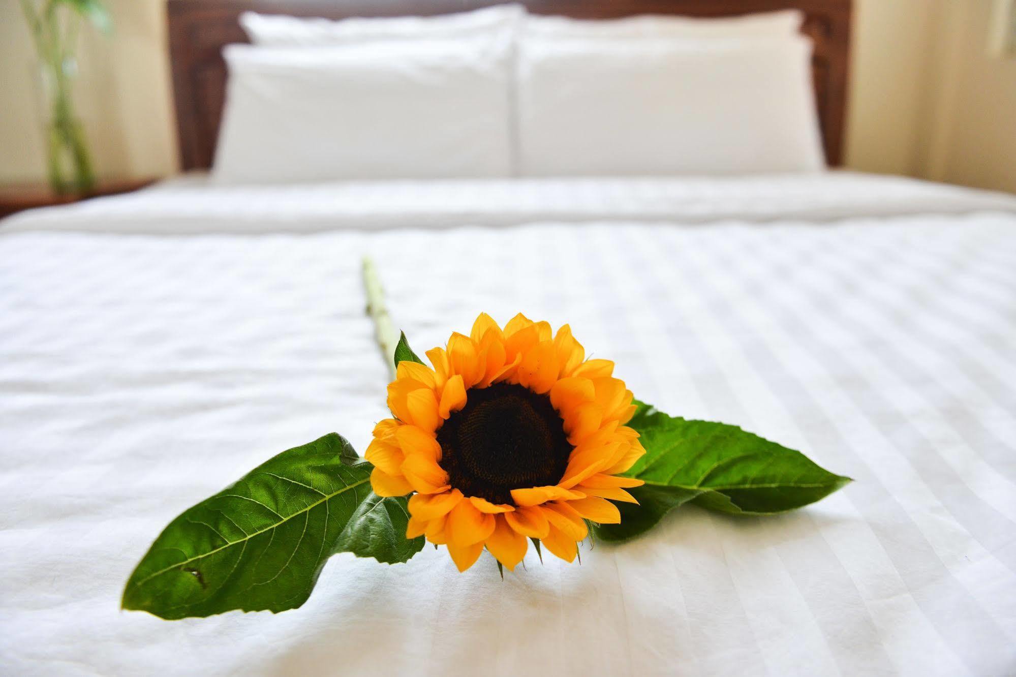 Oc Tien Sa Hotel Ντα Νανγκ Εξωτερικό φωτογραφία